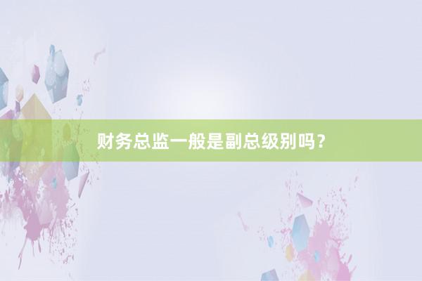 财务总监一般是副总级别吗？