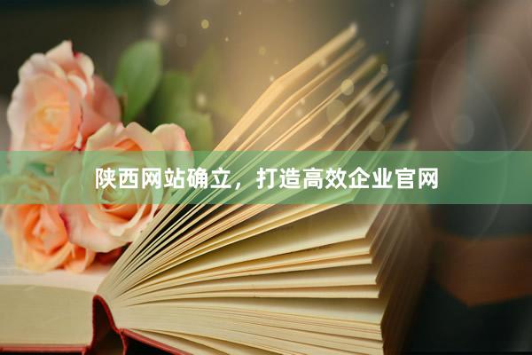 陕西网站确立,打造高效企业官网